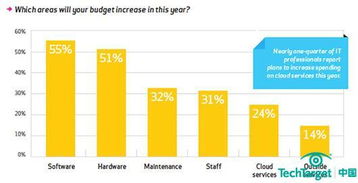 云计算服务 租赁还是自建软件开发的明智选择